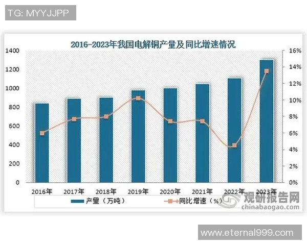 深圳篮球队的转型之路与未来发展趋势深度解析